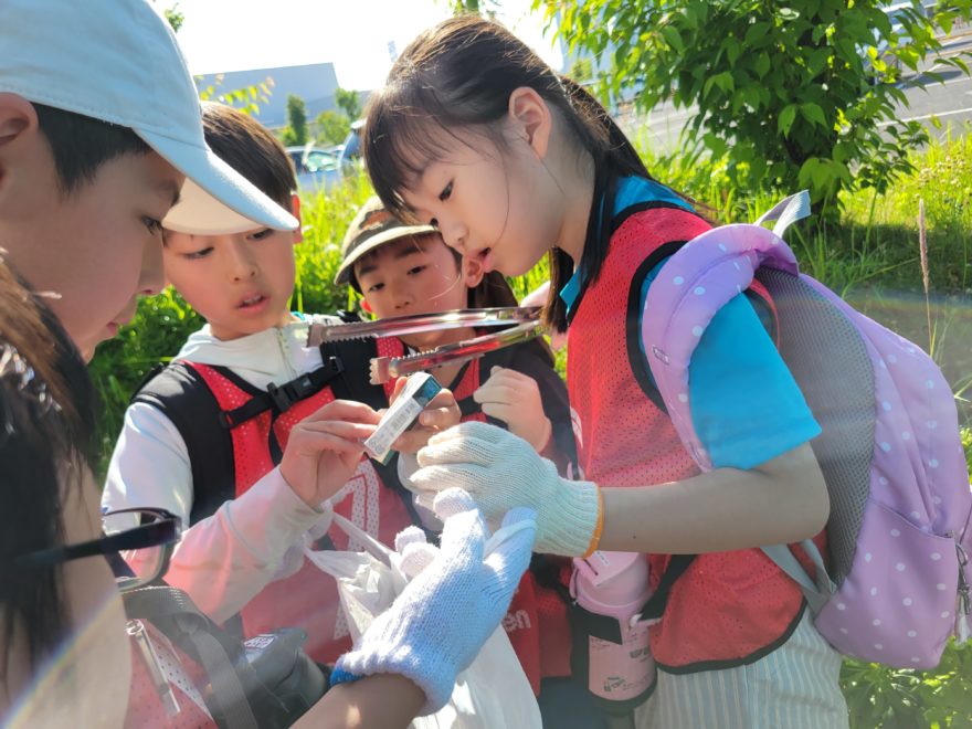 ゴミを観察する小学生|江戸川区の環境学習スポーツイベント